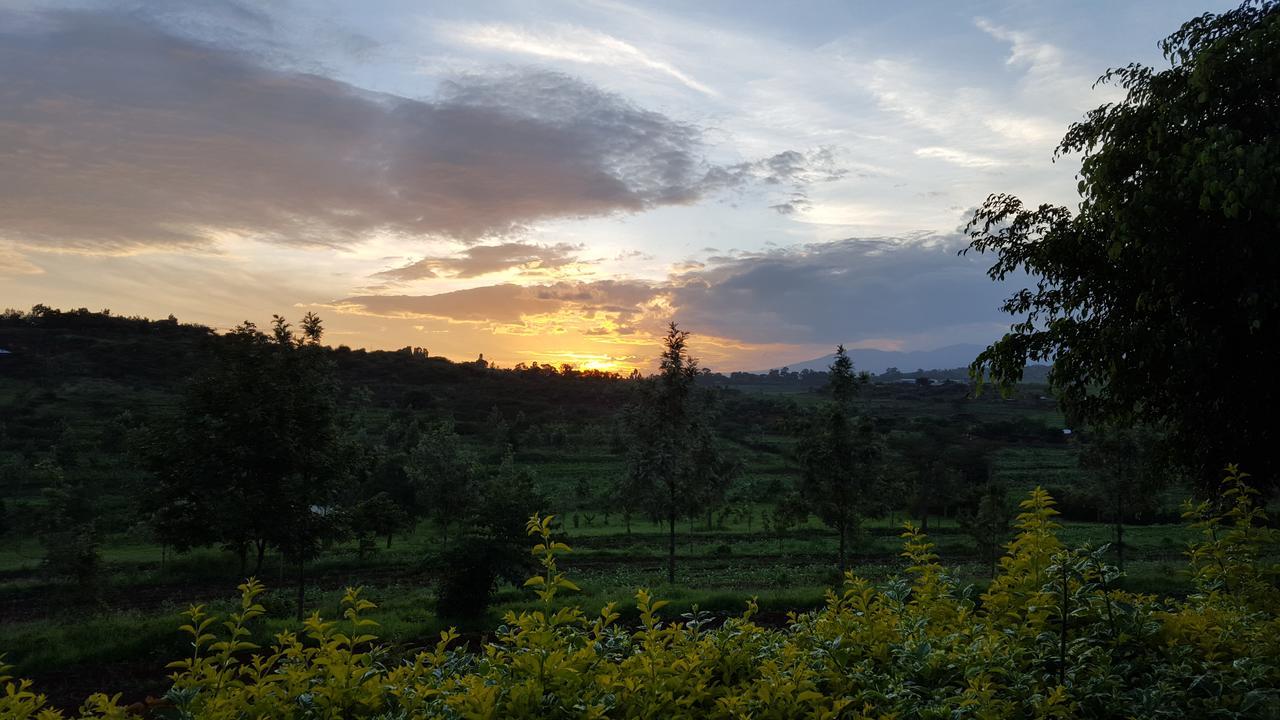 Tanzanice Farm Lodge Karatu Buitenkant foto